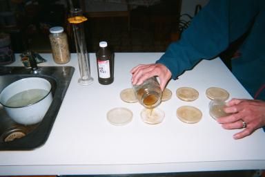 Pouring Agar Plates